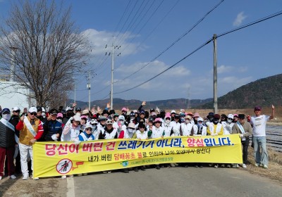 단체사진