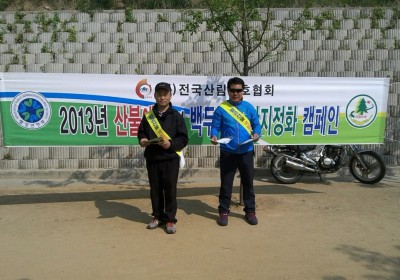 2013년 활동