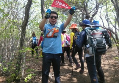 활동내역